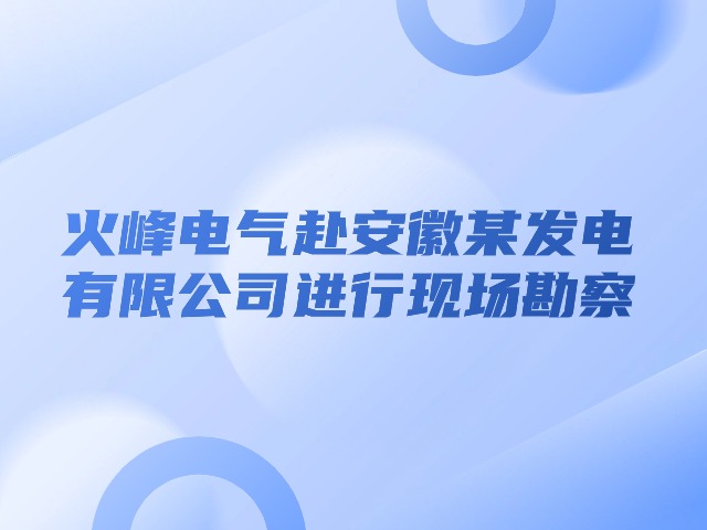 火峰电气赴安徽某发电有限公司进行现场勘察